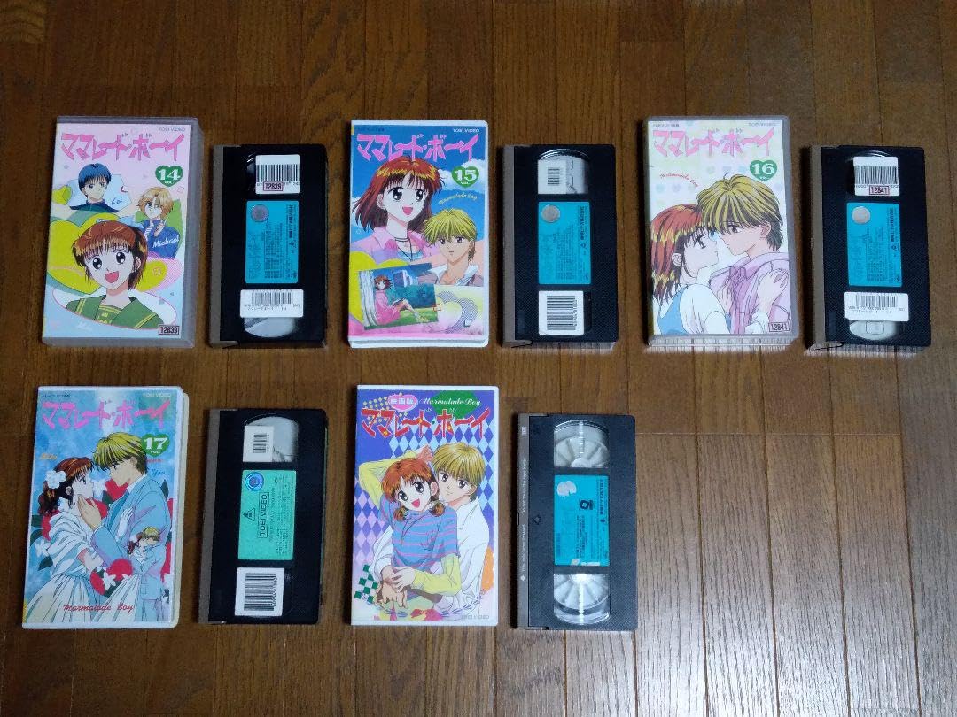 日本舞踊VHS VHS「日本舞踊の名手たち」全20巻